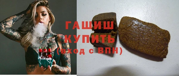 спиды Ельня