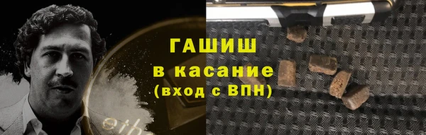 спиды Ельня