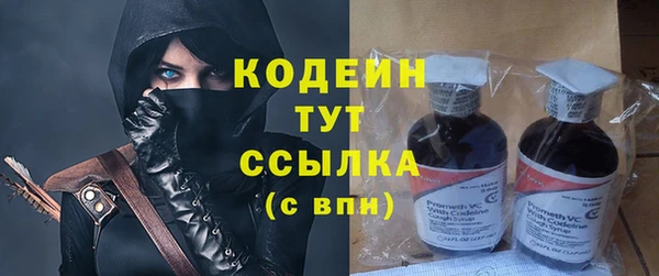 спиды Ельня