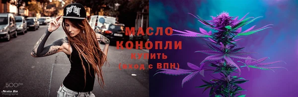 спиды Ельня