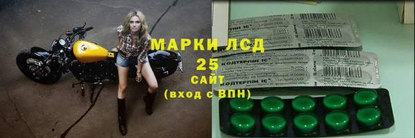 спиды Ельня