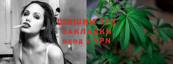 спиды Ельня