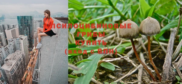спиды Ельня