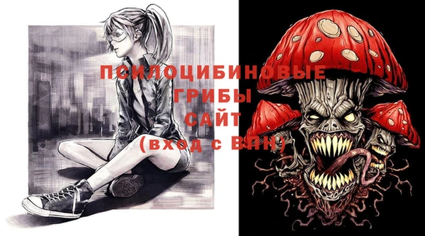 бошки Елабуга