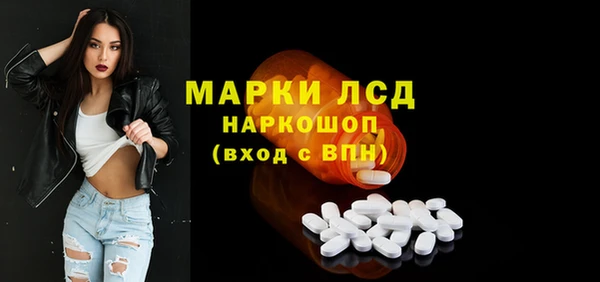 бошки Елабуга