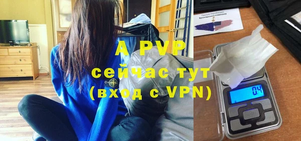 бошки Елабуга