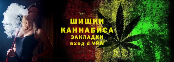 спиды Ельня