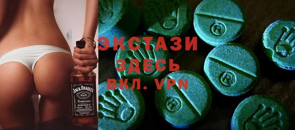 спиды Ельня