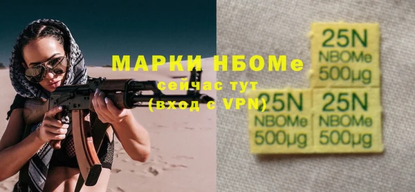 спиды Ельня