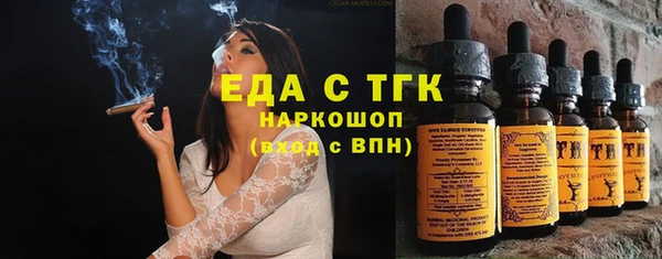 спиды Ельня